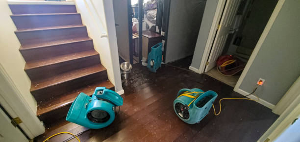 Best Water damage restoration near me  in Hastings On Hudson, NY