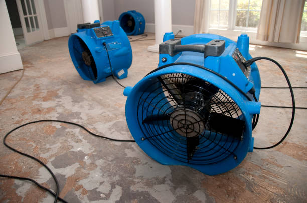 Best Water damage mitigation services  in Hastings On Hudson, NY