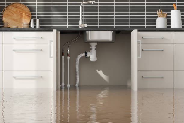 Best Water damage repair service  in Hastings On Hudson, NY