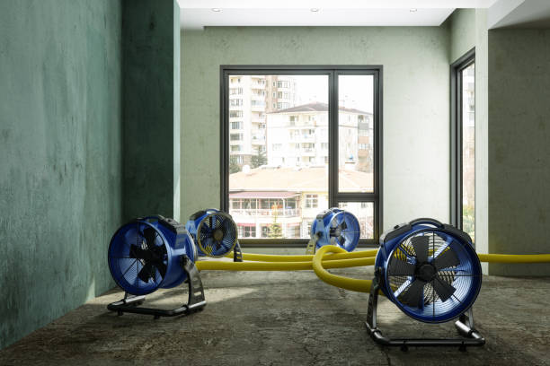Best Professional water damage repair  in Hastings On Hudson, NY