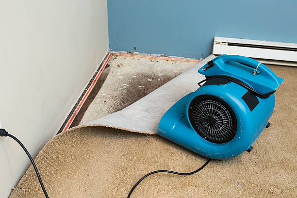 Best Basement water damage restoration  in Hastings On Hudson, NY